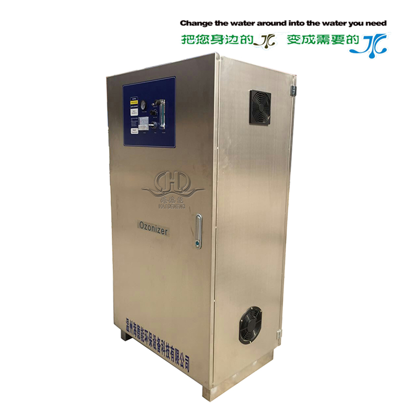 HDNCY-100g ozone sterilization